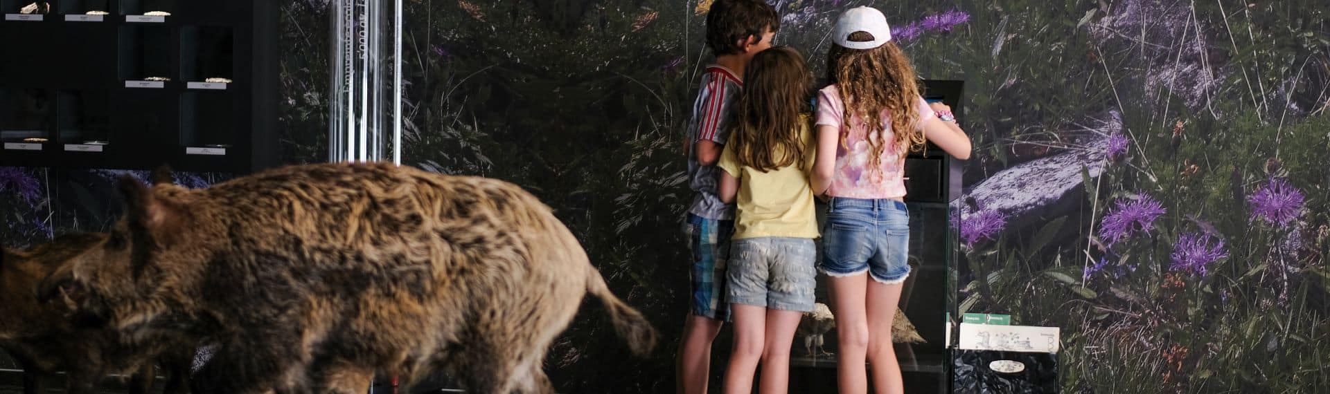 Expositions Musée de la nature du Valais © Musées cantonaux du Valais. Paul Cardi - lumière.ch
